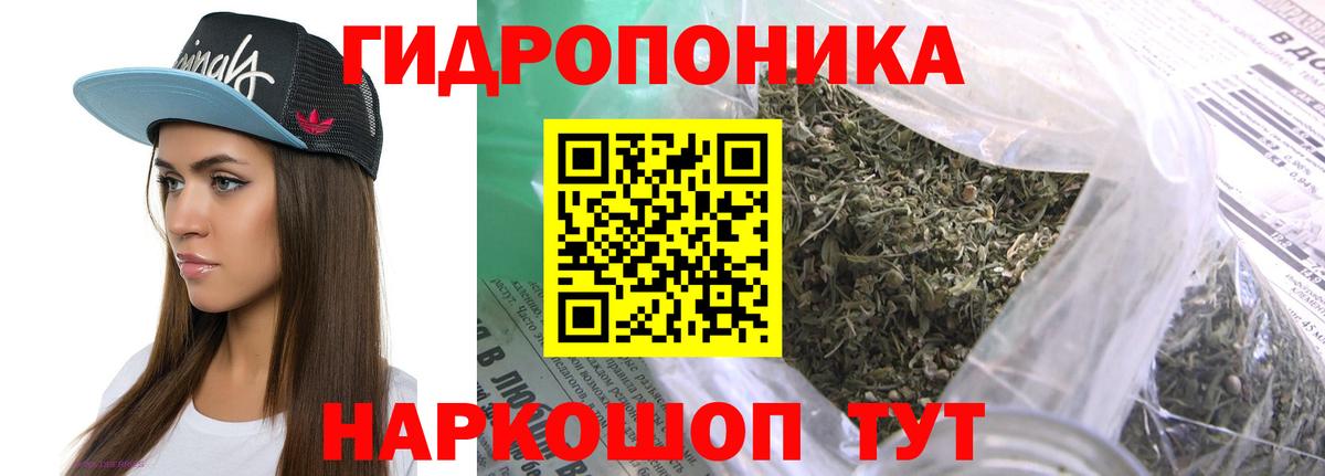 Марихуана семена  Конопля OG Kush  Ивантеевка  Вход с VPN 